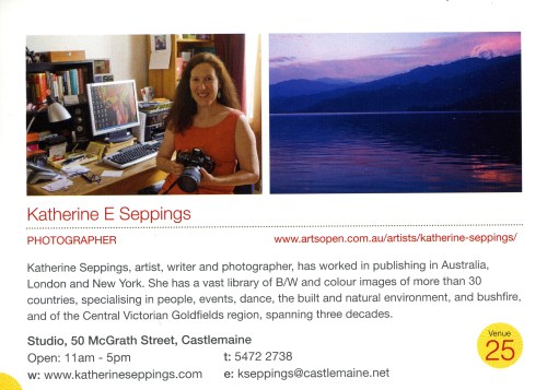 Seppings_Katherine_Artsopen_2014