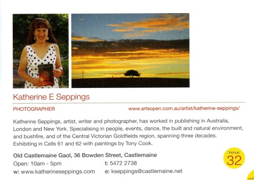 Seppings_Katherine_Artsopen_2016