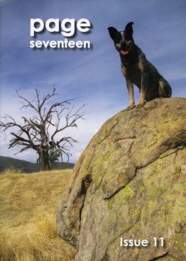 Page Seventeen_11_cover_2014 s